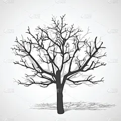 抽象的树。向量的背景。