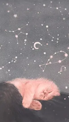 苹果8手机壁纸（分辨率：1080 x 1920）