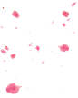 漂浮物 粉色花瓣