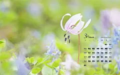  2013年3月宽屏日历桌面壁纸   #精选# #优质# #日历#