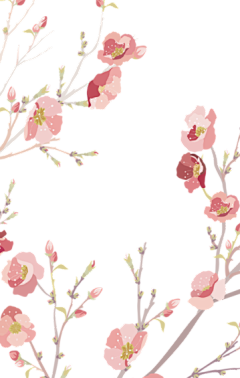 嘉树v采集到手绘-花
