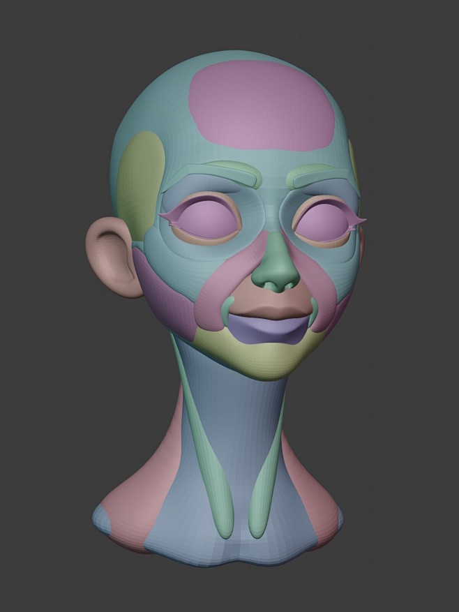 Stylized Head *Anato...