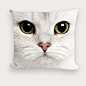 个性写真猫咪沙发方形抱枕 2号咪 #喵星人# #猫# #萌#