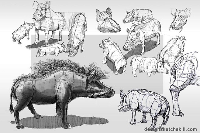 动物形态手绘效果图 - 概念艺术设计（c...