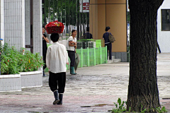 shjunci采集到朝鲜游纪实（四）元山