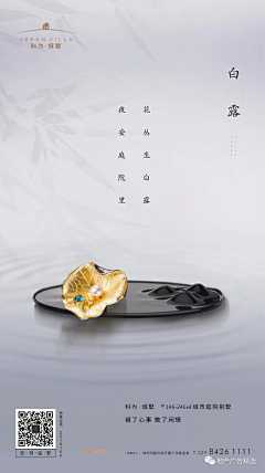 蓝~苹果采集到白露