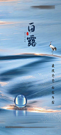 Tags: 海报房地产白露寒露