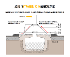 celosia采集到A-现场