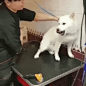 热榜