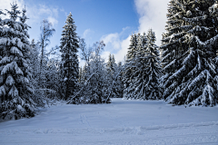 7ASBv6ZS采集到雪景