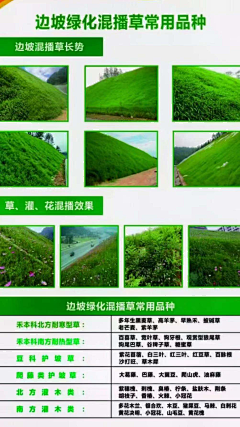 刘小二的2采集到边坡植物