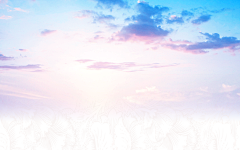 5RSEmc2F采集到背景