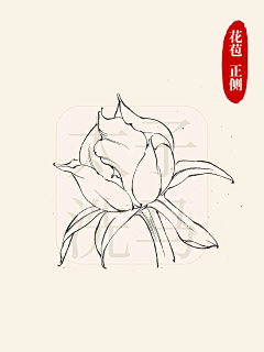 用户t0GCXivn采集到树叶