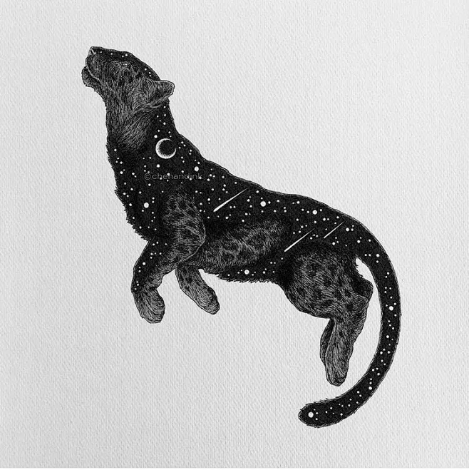 Leopard-花瓣网