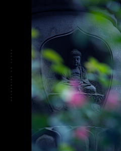 陌南城采集到景与物。