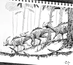 手绘线稿 - 小红书