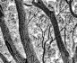 Tree World by Olaf Holland on 500px