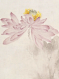 花花世界，一花一世界，一叶一如来。