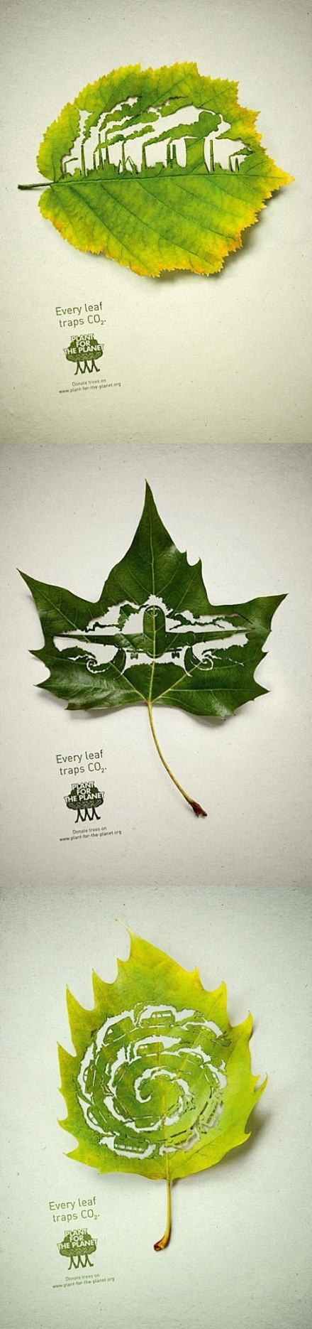 清新的环保广告，为了我们的地球，多种树吧...