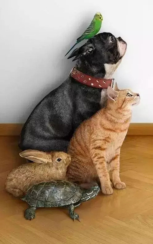 集体照