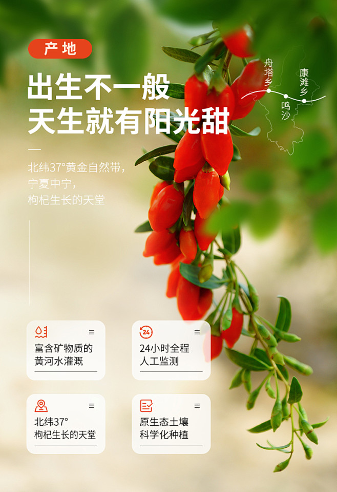 红枸杞原浆宁夏鲜榨中宁枸杞汁鲜榨即食苟杞...