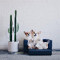 emily wang (@emwng)的ins主页 · Tofo · Instagram网页版/好用的ins浏览器 (Lookins.me)