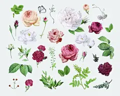 花卉  - 源文件下载【酷图网】水墨花,水彩花,数码印花,乱花,手绘花,小碎花,小花