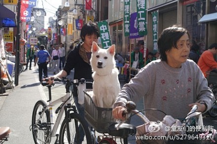 王家卫说：“人生中的每一次偶然相遇都是久...