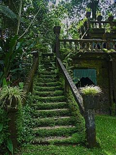 鹤ya鹤采集到场景