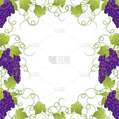 绘画插图,矢量,葡萄,标语,白色背景,饮料,农业,含酒精饮料,菜单,自然界的状态