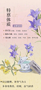 中翳九大体质茶饮｜后悔我居然才知道‼️‼️ - 小红书