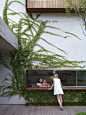 indoor-outdoor kitchen look-through / outdoor counter