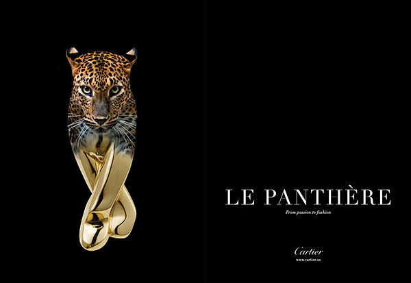 Cartier Ad Campaign ...