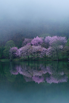 深谷小溪采集到风景