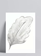 透白花叶卡通透明素材|免扣素材,树叶,水墨,透明素材,装饰图案