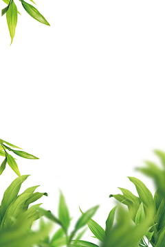扒拉我嘎哈采集到素材（前景）