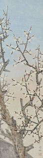 White-blossomed plum flowers Ume. Japanese hanging scroll painting.: 