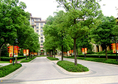 Emma-er采集到lawn