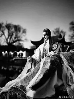 梅花香自苦寒来，百世经论一页书霹雳布袋戏超话 @霹靂布袋戲部落 @布袋戏同人站 2南京·明孝陵 ​​​​