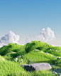 绿色背景11 (96)