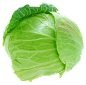 Cabbage PNG image