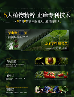闵易安采集到排版