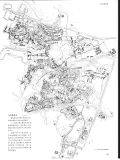 P_页面_252