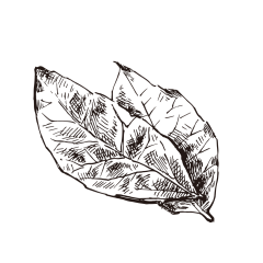 抢名字采集到植物素材