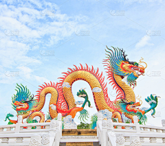我家瓶子采集到龙