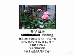 方三柯采集到梗图
