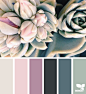 { succulent hues } image via: @park_berlin