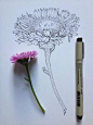 花香晓筑 [http://1060187075.qzone.qq.com]