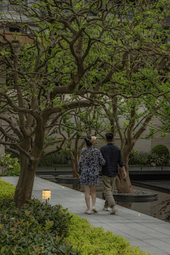 此张宇非彼章鱼采集到景观