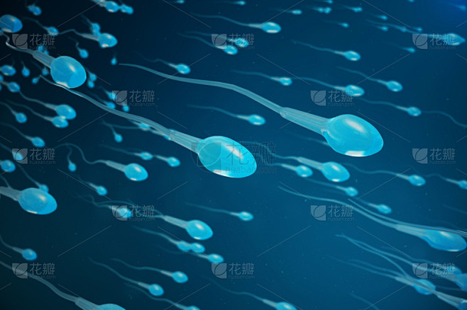 精子,绘画插图,新生活,三维图形,细胞,...